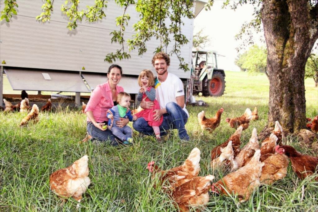 Bild Hühnermobil mit Family