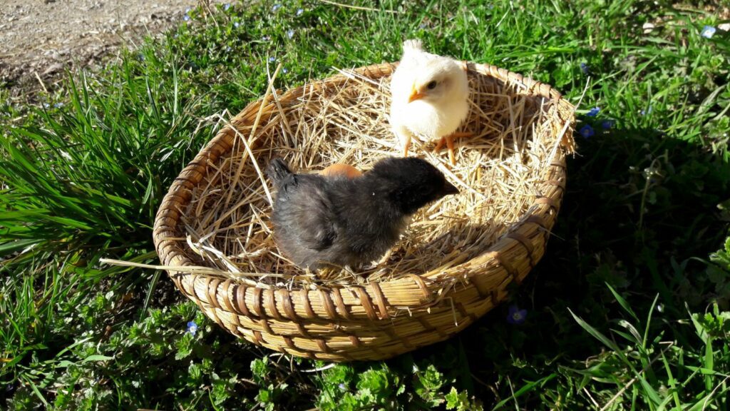 Titelbild des Blogeintrags