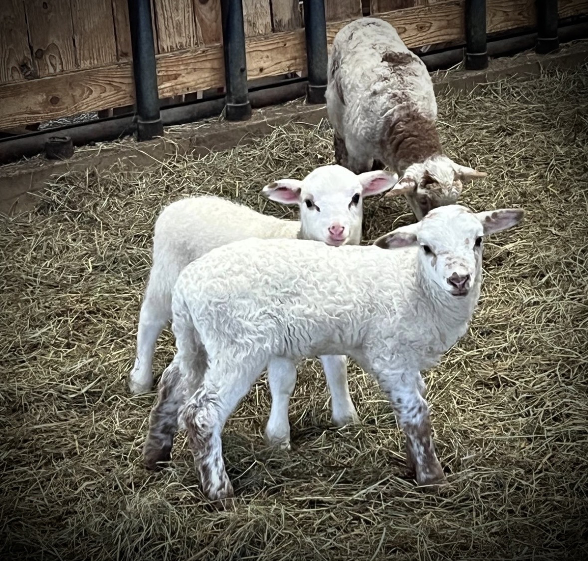 Titelbild des Blogeintrags