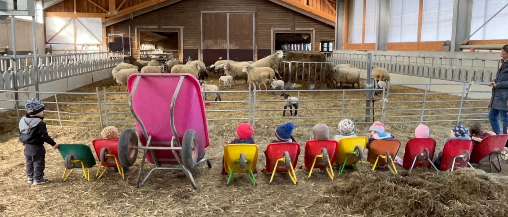 Titelbild des Blogeintrags